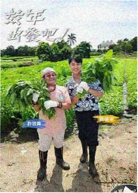 555电影在线观看 明星大侦探 推理综艺